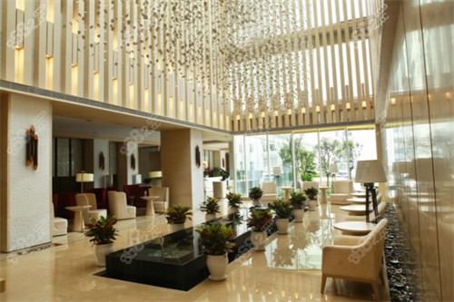 成都華美紫馨大廳一覽圖