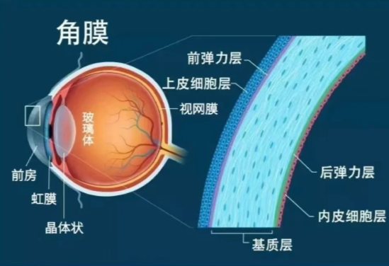 六、商丘尖峰眼科患者真實評價