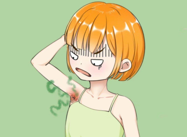 1. 核心名單及優(yōu)勢亮點