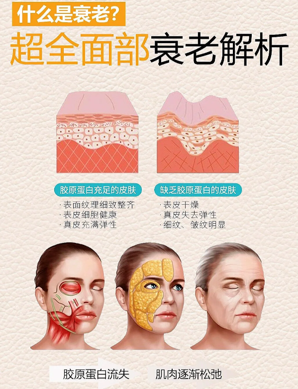 八、溫馨提示與防詐騙提醒