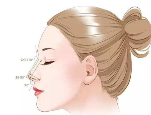 陳付國和范榮杰做鼻子哪個好？