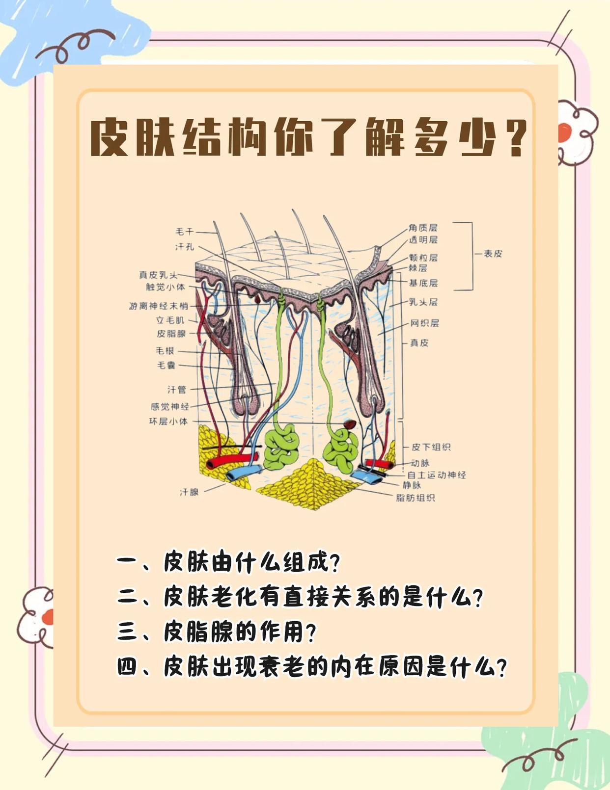 五、成都藝星醫(yī)療美容醫(yī)院