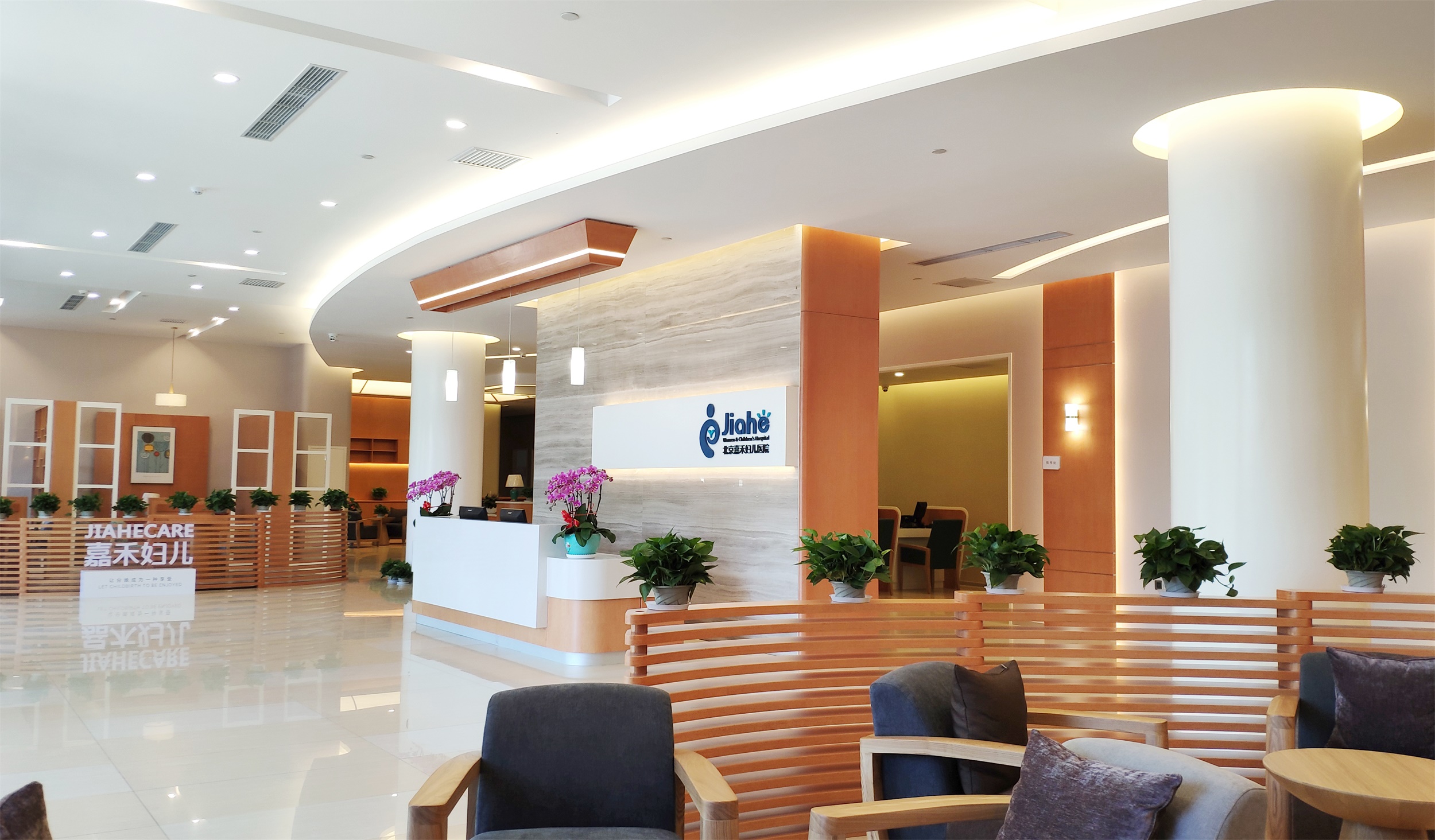 三、北京嘉禾醫(yī)生名單全解析：各領(lǐng)域骨干醫(yī)生齊聚