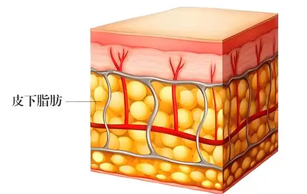 郭鑫醫(yī)生自體脂肪填充淚溝省錢攻略