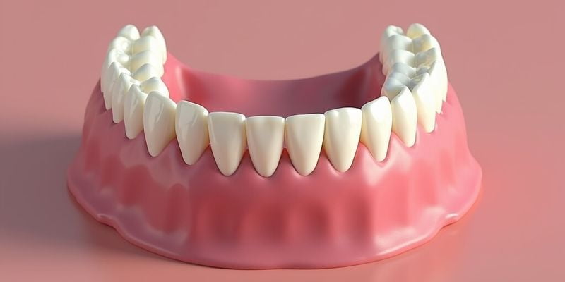 1. 晶顏口腔（原陽光樹）