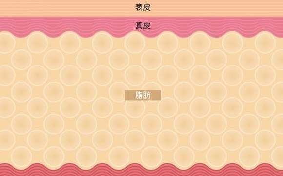 了解鄭紅革醫(yī)生