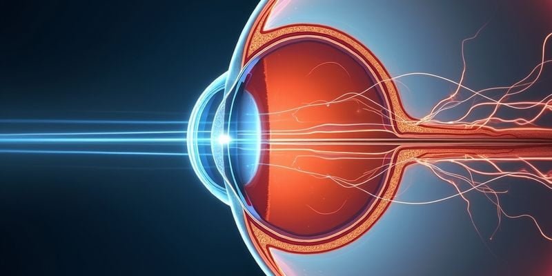 豐富診療項目滿足需求