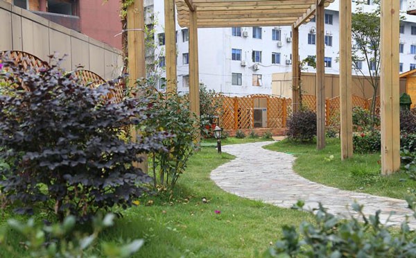 四川大學(xué)華 西醫(yī)院伍俊良醫(yī)生的社會(huì)任職