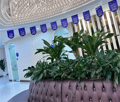 濟(jì)南海峽整形大廳環(huán)境圖 濟(jì)南海峽整形大廳環(huán)境圖