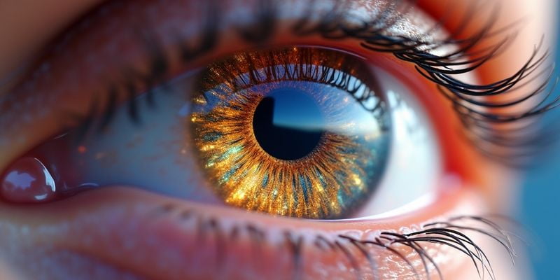 上海未來(lái)視界眼科電話號(hào)碼是多少，怎么預(yù)約掛號(hào)？www.sorencai.cn