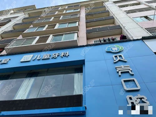 醴陵貝殼口腔外觀