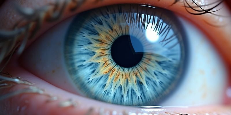 全飛秒手術(shù)醫(yī)生團(tuán)隊(duì)對比