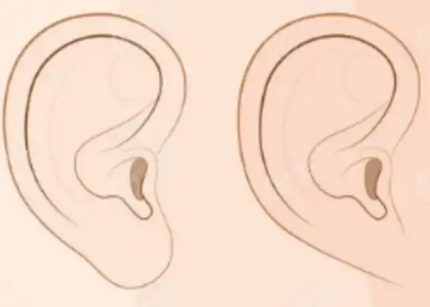 技術(shù)成果對(duì)比