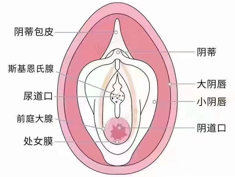 患者真實(shí)反饋：口碑決定一切