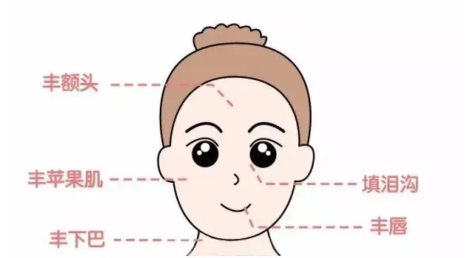 身體脂肪塑形+移植項(xiàng)目