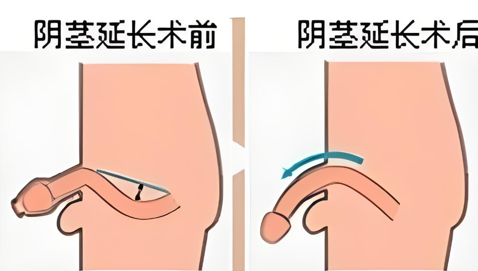 七、如何預(yù)約就診？聯(lián)系方式及地址www.sorencai.cn
