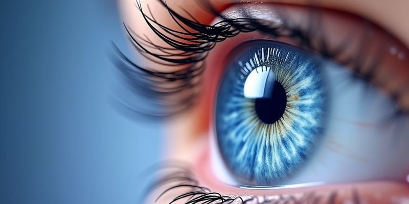 深圳深東愛爾眼科醫(yī)院就診流程是怎樣的？