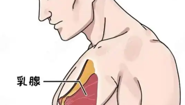 宋寶驥男性乳腺診療費(fèi)用明細(xì)曝光