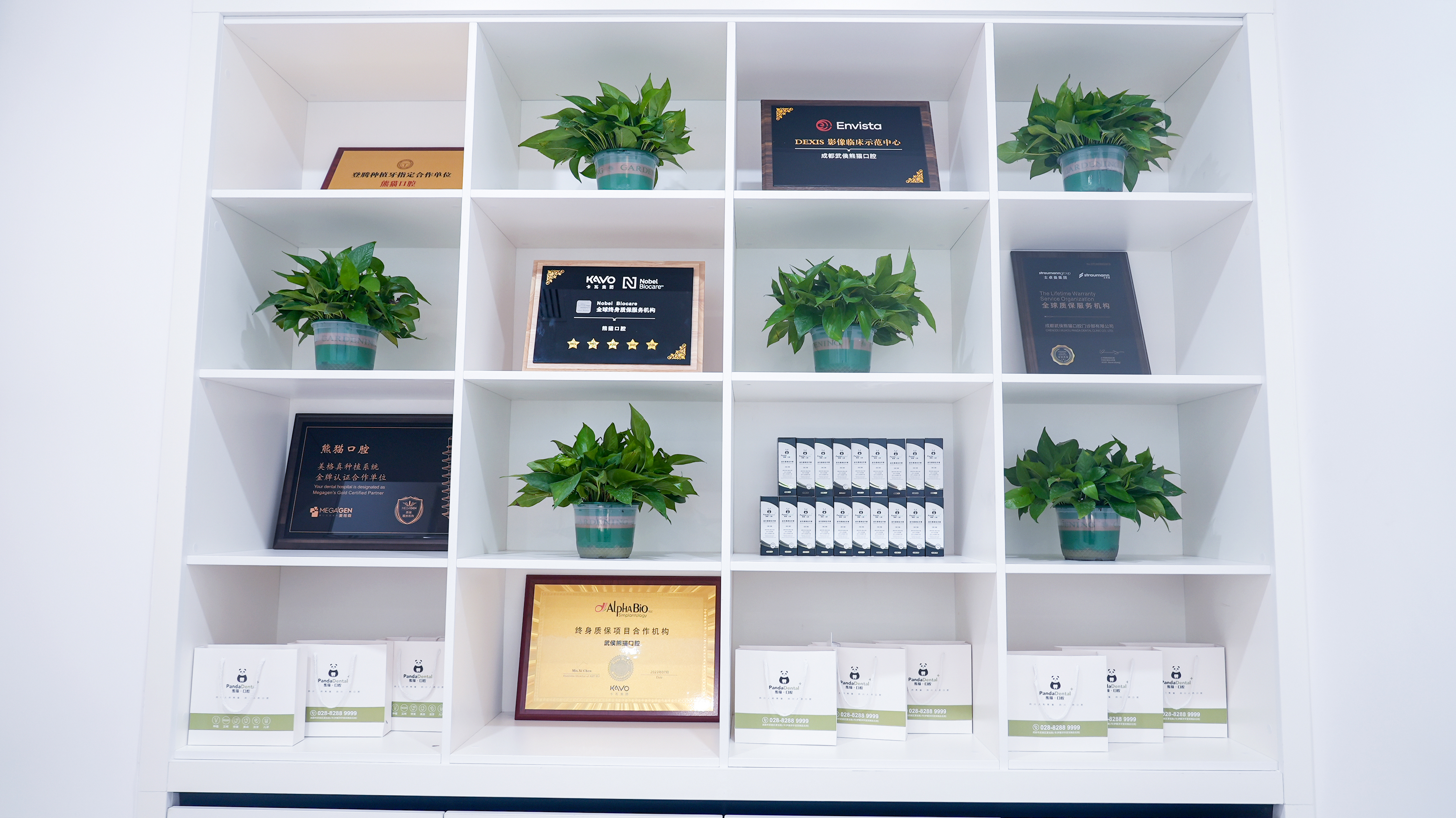 成都多樂兒童齒科的診療項目及價格