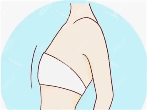 平胸動畫展示圖