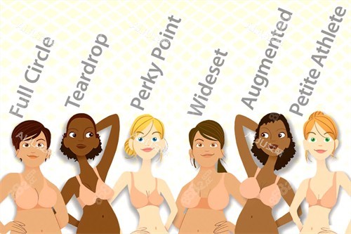 不同的胸型