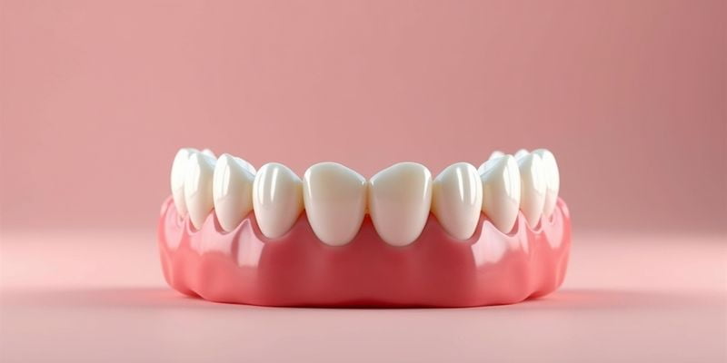 粵北人民醫(yī)院口腔科就診時間如何安排？