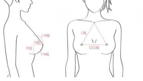 北京唐欣平胸手術(shù)范例真實反饋實例分享