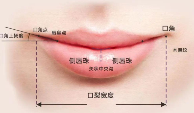 沈薇醫(yī)生對于唇部美學(xué)的理解
