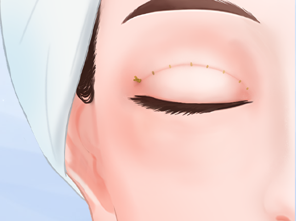 哲慧醫(yī)生的專門背景與學術成就