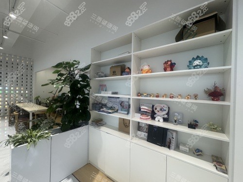 大理金萊雅口腔展示架示意圖