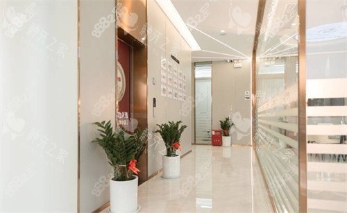 南京金鉑利口腔走廊