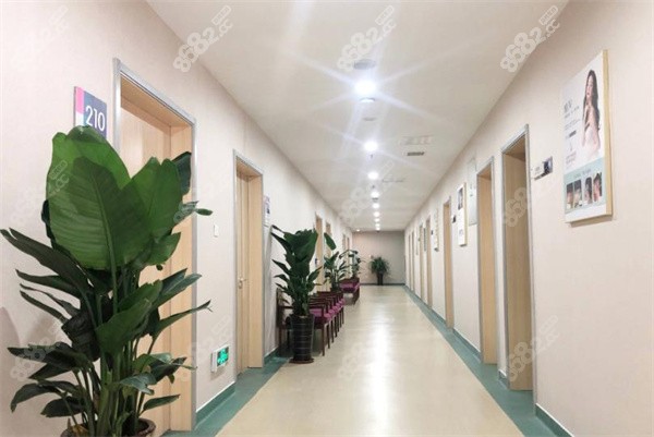 青島建中植發(fā)的走廊