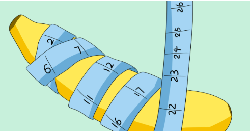 認(rèn)識(shí)生物補(bǔ)片：科學(xué)與自然的較美結(jié)合