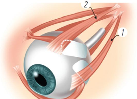 一、封康醫(yī)生在哪個(gè)醫(yī)院坐診？核心主陣地：北京大學(xué)第三醫(yī)院（北醫(yī)三院）