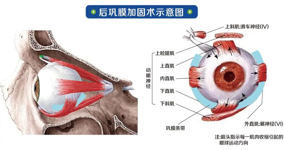 二、封康醫(yī)生在哪個(gè)醫(yī)院坐診？北京多點(diǎn)執(zhí)業(yè)點(diǎn)：?？漆t(yī)院的深度合作m.sorencai.cn