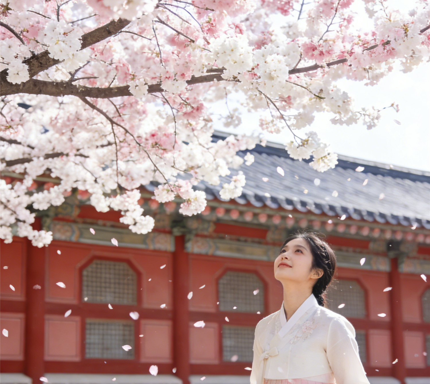 April Travel Guide to Korea for Cherry Blossoms: Visa, Transportation, Accommodation, and Outfits All in One Handy Guide插图3