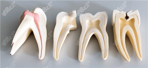 惠州大亞灣宏恩口腔怎么樣？老牌連鎖、兒童友好、種牙矯正都拿手