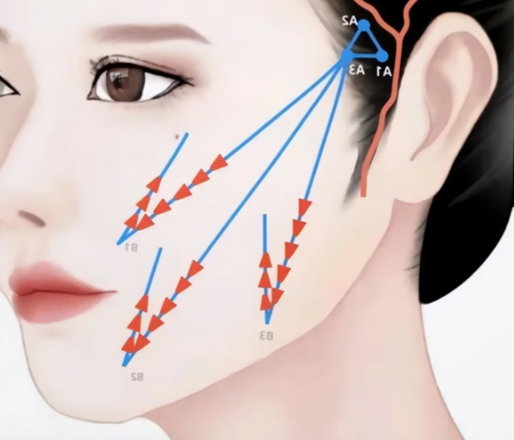 便捷通道：如何輕松開啟詢問與預(yù)約？