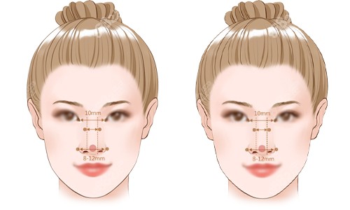標(biāo)準(zhǔn)鼻子的比例展示