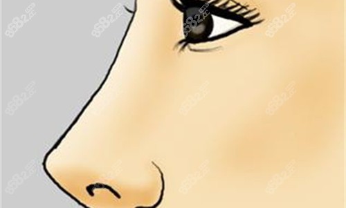 鼻子高鼻梁卡通圖