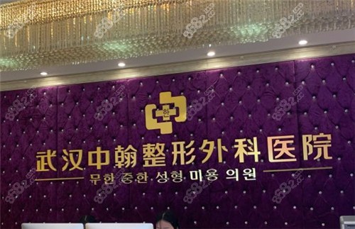 武漢中翰整形logo