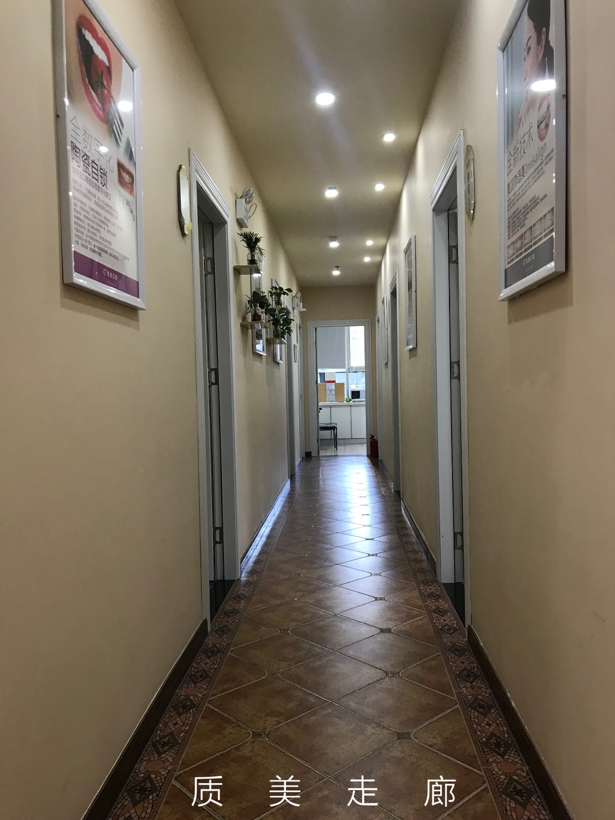 深圳藝星徐英和陳星光誰(shuí)厲害？陳星光飽滿立體胸型獨(dú)具特色