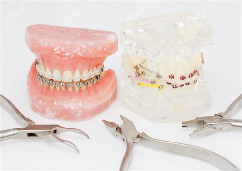 牙齒模型圖片展示圖 牙齒模型圖片展示圖