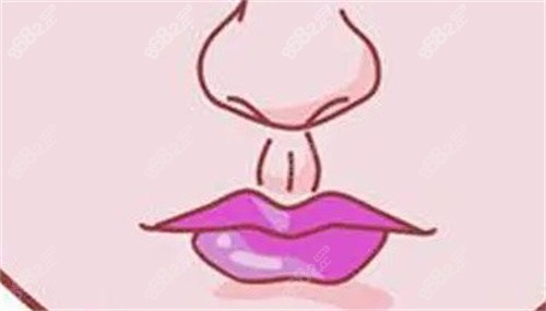 人中形態(tài) 人中形態(tài)