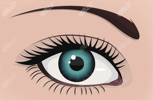 雙眼皮形態(tài)