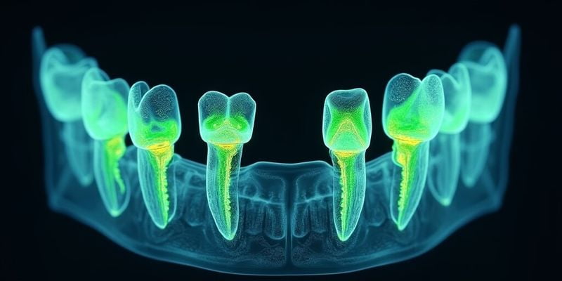 三、大連潔雅口腔醫(yī)院牙齒矯正收費不貴的優(yōu)勢
