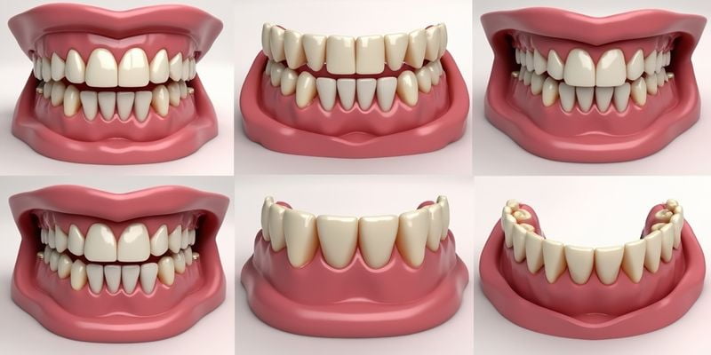 三、不同檔次BPS吸附性義齒的收費(fèi)明細(xì)與選擇