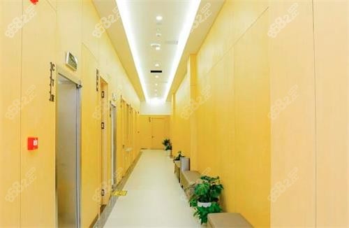 ?？谥Z貝爾口腔走廊