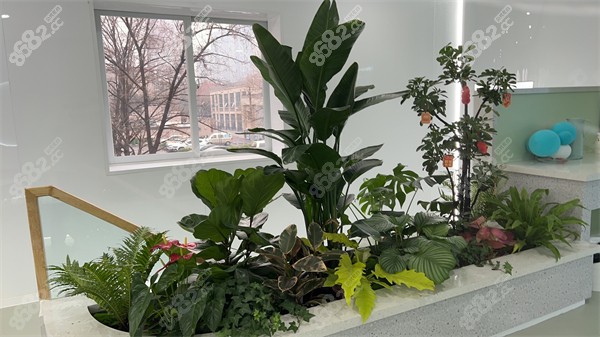 鄭州青松口腔環(huán)境圖