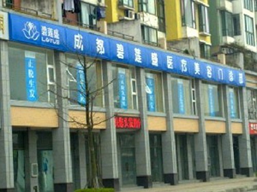 碧蓮盛用戶評(píng)價(jià)與實(shí)例